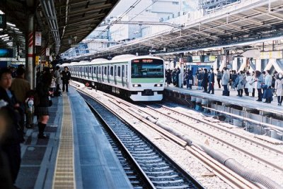 ​任凭也造句24句