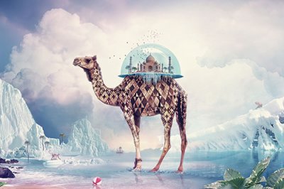 ​无可厚非造句25句