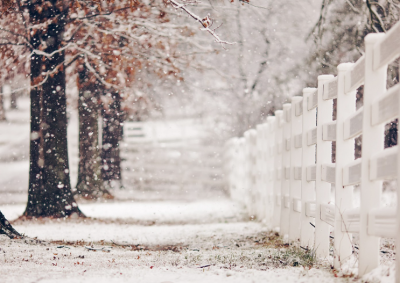 ​招财转运微信昵称女(892个)