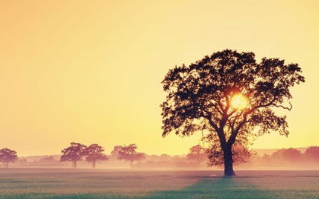 1691079159790364.png image.png