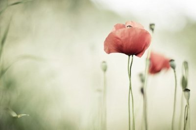 再见2025你好2026朋友圈唯美情感句子(精选87句)