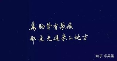 不完美的哲学句子