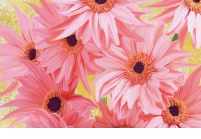 十七岁的生日优秀句