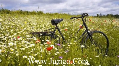 ​六一儿童节成长寄语六一儿童节语录(精选35句)