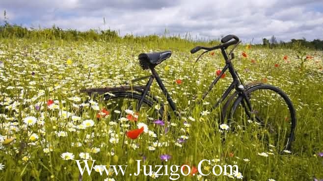 六一儿童节成长寄语六一儿童节语录(精选35句)