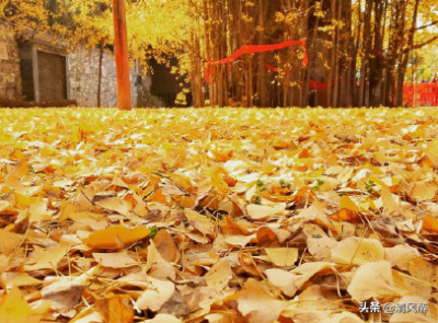 ​安慰分手的话简短 温暖走心句子