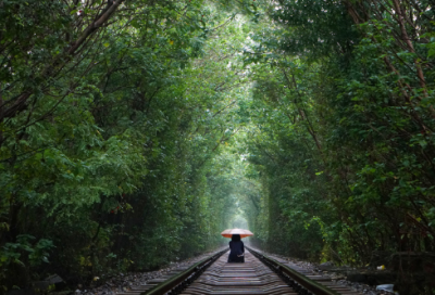 ​修仙小说常用的道家名言60句