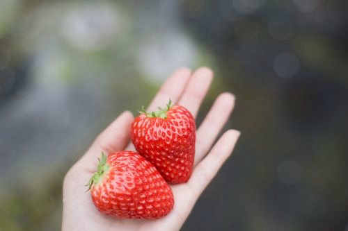 七夕爱情诗句性签名79句