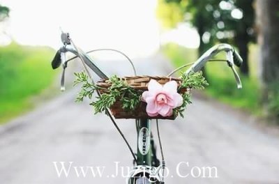 ​形容纯粹爱情的诗句形容纯粹的诗句(精选32句)