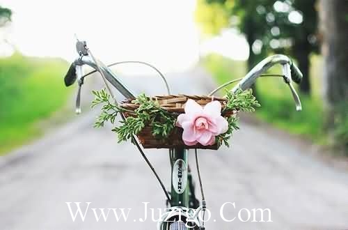 形容纯粹爱情的诗句形容纯粹的诗句(精选32句)