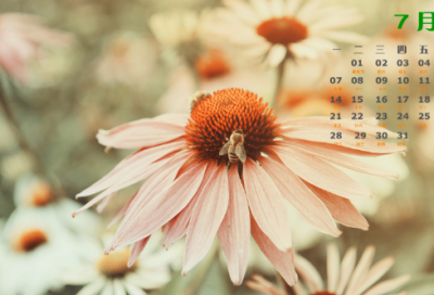 ​前缀带村的网名大全