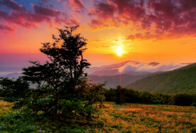 ​带巨头的网名大全女