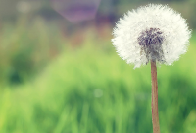 ​qq网名繁体情侣网名237个