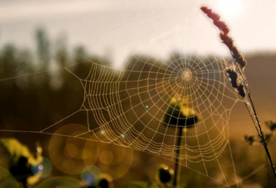 ​带日字的谐音网名大全