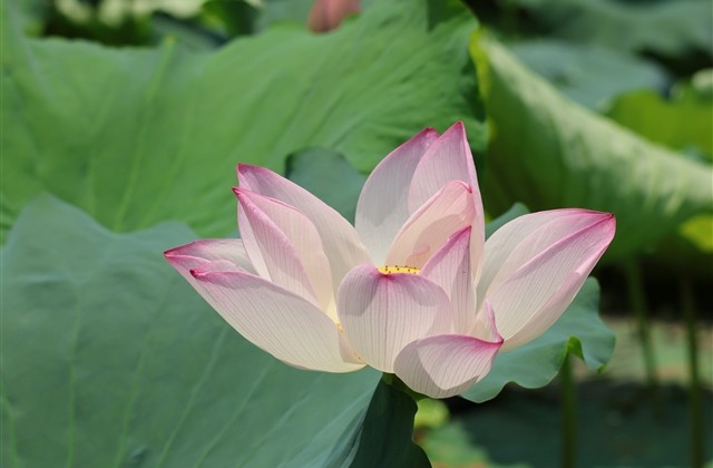 有内涵的4字游戏名(优选826个) 有内涵的4字游戏名(优选826个)