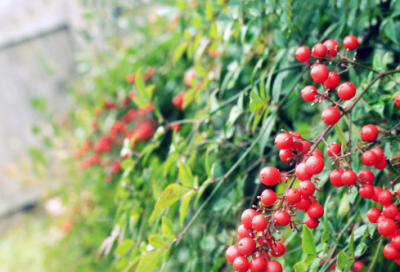 ​2023年跨年朋友圈文案简短说说（100句）