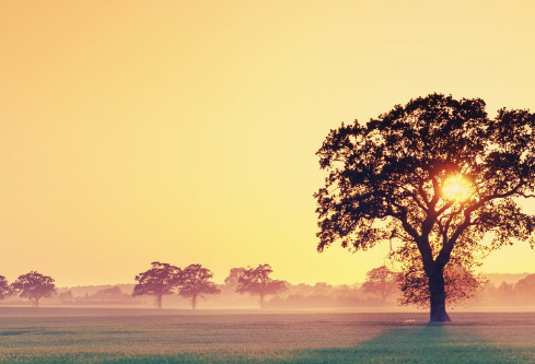 1695710615447820.png image.png