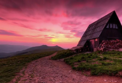 ​疫情下发狗狗的幽默说说 晒狗狗的说说短句