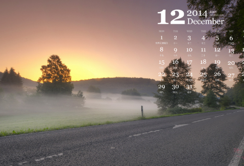 1695711445904496.png image.png