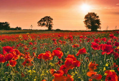 ​2023年早安情话写给女朋友 最浪漫的说早安方式