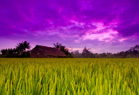 1695713105857246.png image.png