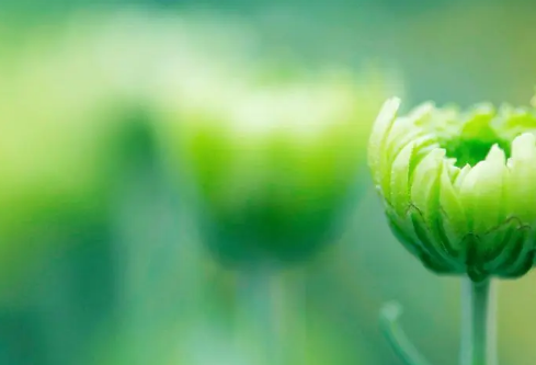 1695713437948225.png image.png