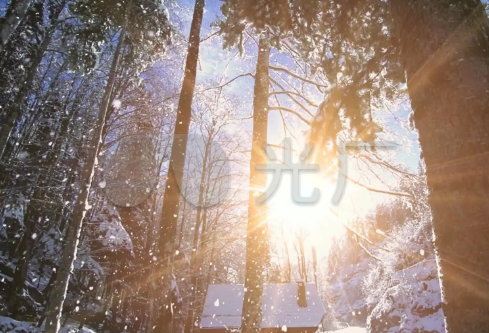 1695713770479648.png image.png