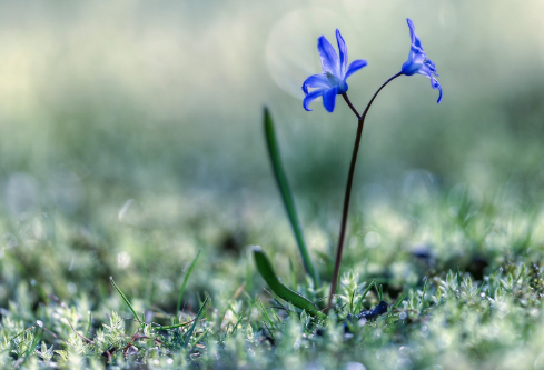 1695715595790048.png image.png