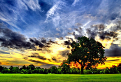 ​2023春节短句说说宣传文案（100句）