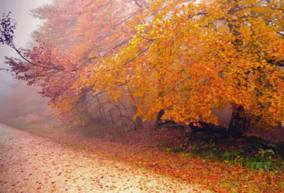 ​自己照顾好自己的说说 照顾好自己暖心的话(精选)