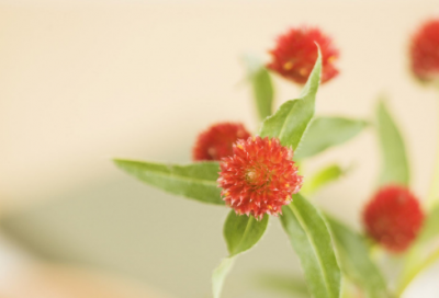 ​关于2023年马上到了的励志说说 2023年再见2023年你好超暖心说说