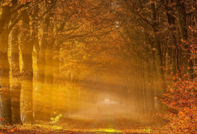 ​2023高情商问候早安的句子 怎么说早安撩人（精选）