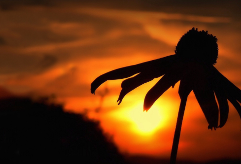 1695722899911150.png image.png