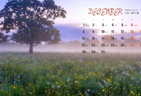 1695723397289873.png image.png