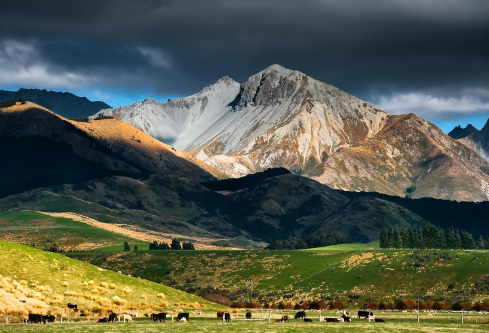 1695723564253253.png image.png