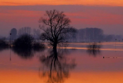 ​生活美好的说说 美好生活的句子(精选)