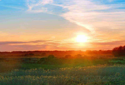 ​关于双十一光棍节句子说说(精选92句)