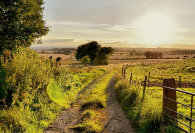 ​关于也许真的该放下了说说 对一个人彻底放下的句子