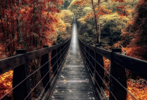 1695749361116475.png image.png