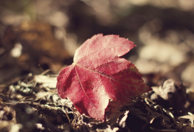 ​还没有造句,用还没有怎么造句