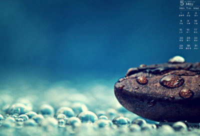 ​岁月不待人造句,用岁月不待人怎么造句