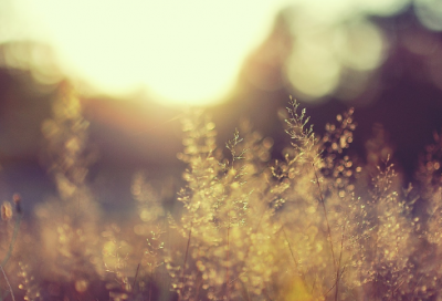 ​多作造句,用多作怎么造句