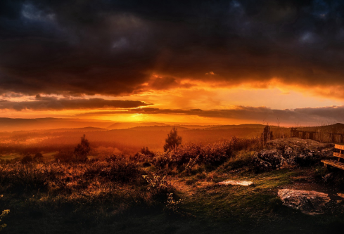 1695753011788012.png image.png