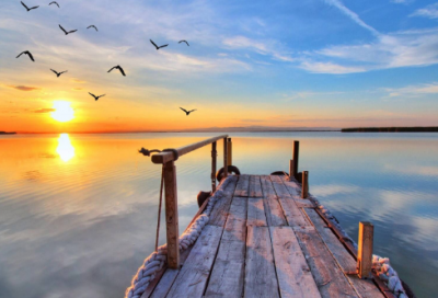 ​通行造句,用通行怎么造句