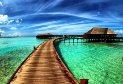 ​啸造句,用啸怎么造句