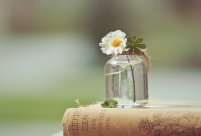 ​胸中百万兵造句,用胸中百万兵怎么造句