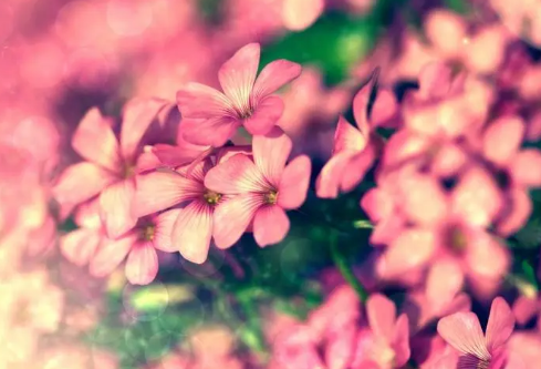 1695755919709866.png image.png