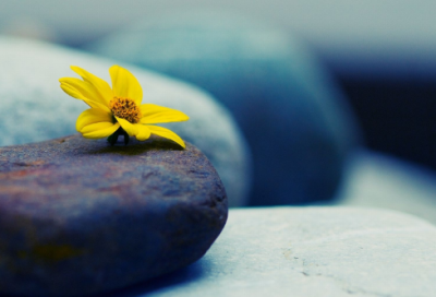 ​讲得造句,用讲得怎么造句