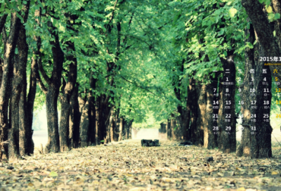 ​岁了造句,用岁了怎么造句