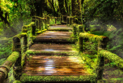 ​名胜古迹造句,用名胜古迹怎么造句